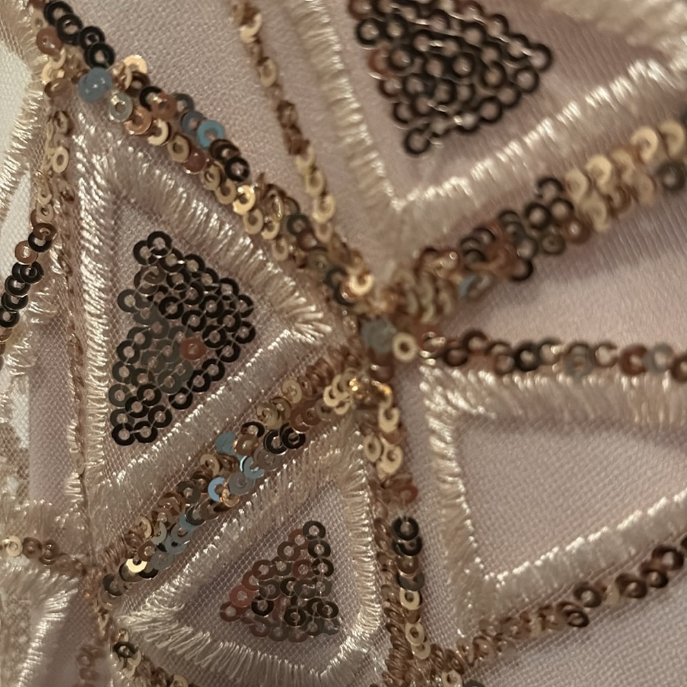 Morgan & Co. Beige Geometric Gown - Picture 9 of 12